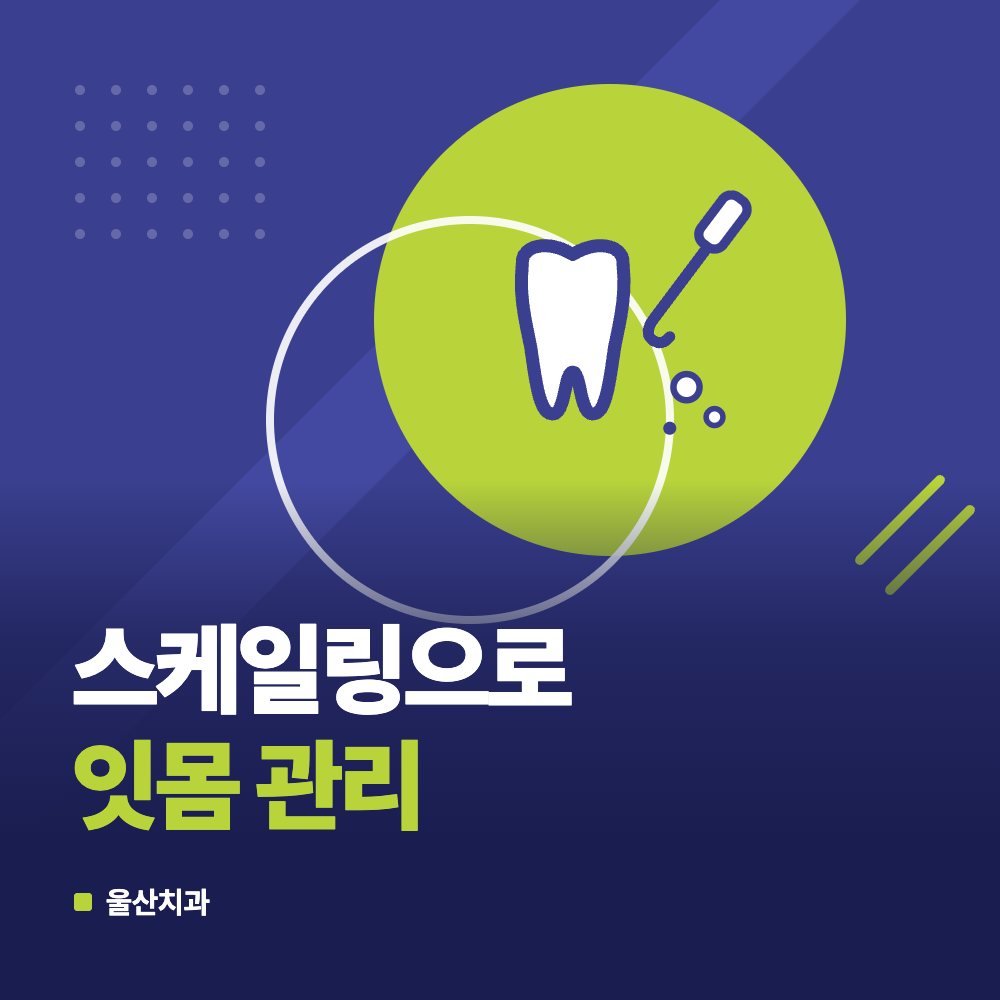 스케일링으로 잇몸 관리